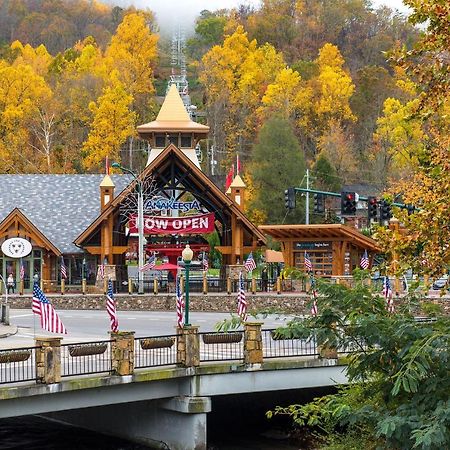 Cabin Of Dreams, 3 Bedroom Water View, Wifi, Hot Tub, Pool Table, Sleep 8 Sevierville Exteriör bild