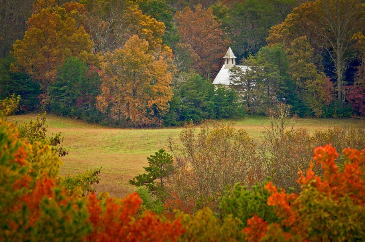 Cabin Of Dreams, 3 Bedroom Water View, Wifi, Hot Tub, Pool Table, Sleep 8 Sevierville Exteriör bild