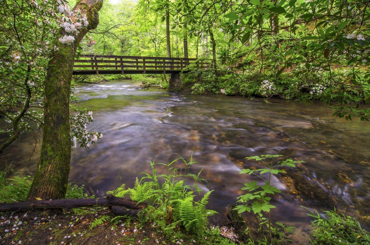 Cabin Of Dreams, 3 Bedroom Water View, Wifi, Hot Tub, Pool Table, Sleep 8 Sevierville Exteriör bild